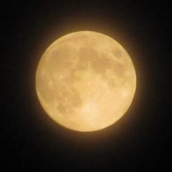 Wild Women Circle – Full Moon in Libra